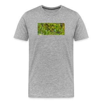 Vigne en grappes sur fond vert - T-shirt bio Premium Homme - gris chiné - Devant - Damien (186cm)