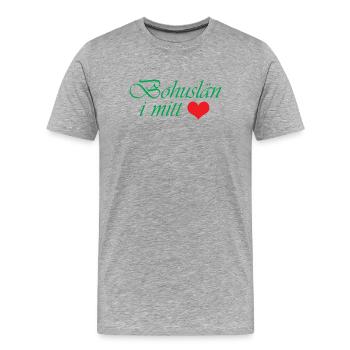Bohuslän in meinem Herzen - Männer Premium Bio T-Shirt - Grau meliert - Vorne - Damien (186cm)