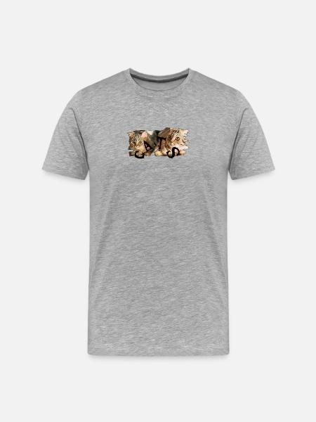 Katzen-Collage: Zerrissene Fellkunst - Männer Premium Bio T-Shirt - Grau meliert