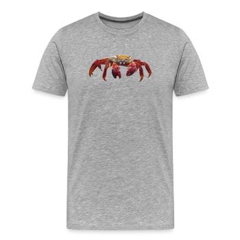 Krabbe - Männer Premium Bio T-Shirt - Grau meliert - Vorne - Damien (186cm)