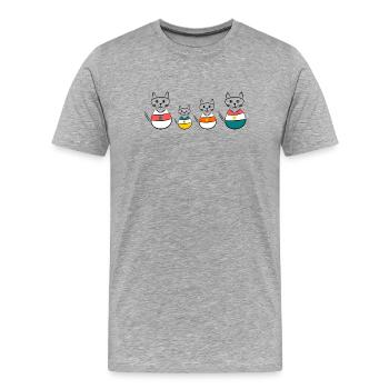 anniversary. Anniversary Decade. humor. funny - Men's Premium Organic T-Shirt - heather grey - Front - Damien (186cm)