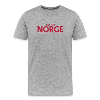 Allt för Norge – logo patriotique - T-shirt bio Premium Homme - gris chiné - Devant - Damien (186cm)