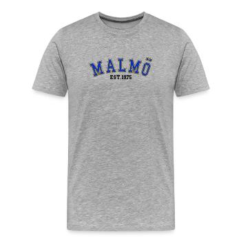 Malmö Est. 1975 - Men's Premium Organic T-Shirt - heather grey - Front - Damien (186cm)