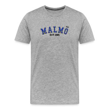 Malmö Est. 1985 - Men's Premium Organic T-Shirt - heather grey - Front - Damien (186cm)