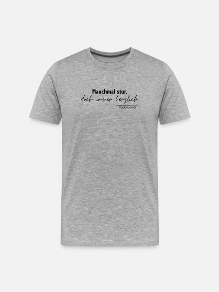 paderborn - Männer Premium Bio T-Shirt - Grau meliert