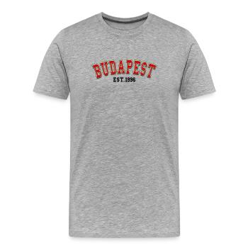 Budapest, gegründet 1996 - Männer Premium Bio T-Shirt - Grau meliert - Vorne - Damien (186cm)