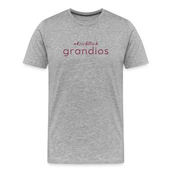 Absichtlich grandios - Männer Premium Bio T-Shirt - Grau meliert - Vorne - Damien (186cm)