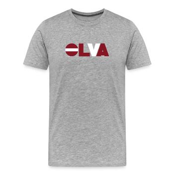Lettland - Männer Premium Bio T-Shirt - Grau meliert - Vorne - Damien (186cm)