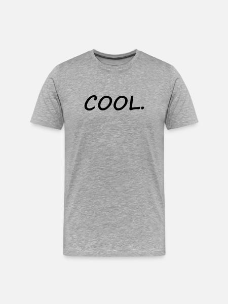 Refroidir - T-shirt bio Premium Homme - gris chiné