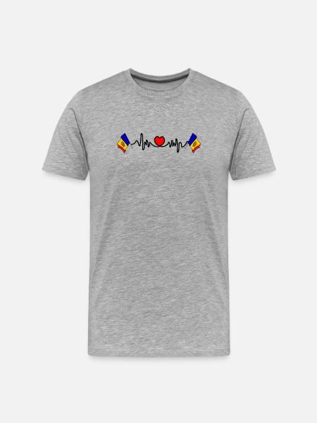 Herzfrequenz-Cardio für Moldawien - Männer Premium Bio T-Shirt - Grau meliert