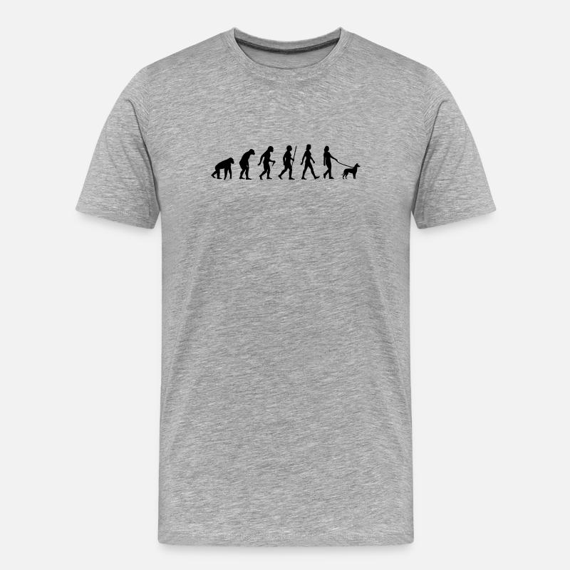 Evolution Kurzhaarcollie Frau - Männer Premium Bio T-Shirt - Grau meliert
