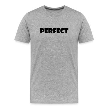Perfect - Men's Premium Organic T-Shirt - heather grey - Front - Damien (186cm)
