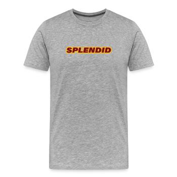 SPLENDID - Männer Premium Bio T-Shirt - Grau meliert - Vorne - Damien (186cm)