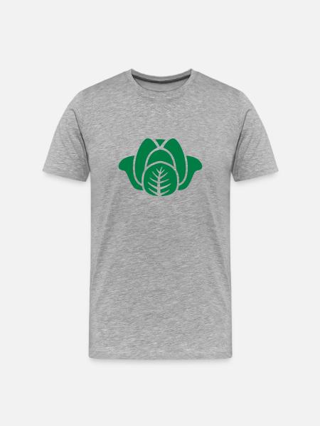 Salat - Männer Premium Bio T-Shirt - Grau meliert