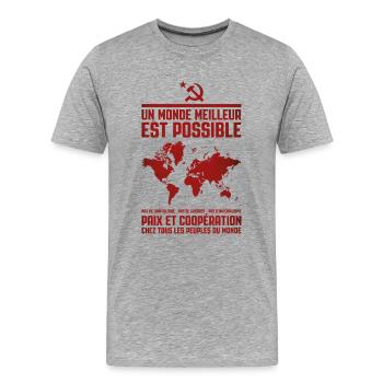 Un monde meilleur 2 - T-shirt bio Premium Homme - gris chiné - Devant - Damien (186cm)