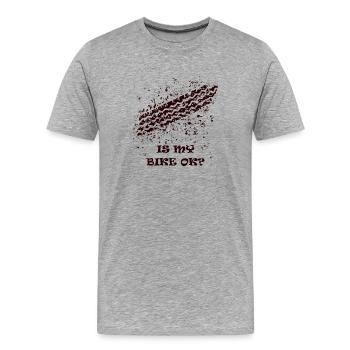IST MEIN FAHRRAD IN ORDNUNG? - Männer Premium Bio T-Shirt - Grau meliert - Vorne - Damien (186cm)