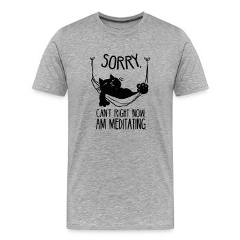 Chat glaçant dans un hamac rétro - T-shirt bio Premium Homme - gris chiné - Devant - Damien (186cm)