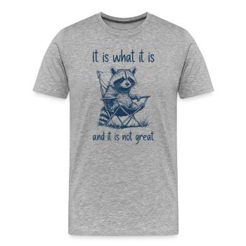 Lustiger Waschbär – Es ist, wie es ist - Männer Premium Bio T-Shirt - Grau meliert - Vorne - Damien (186cm)