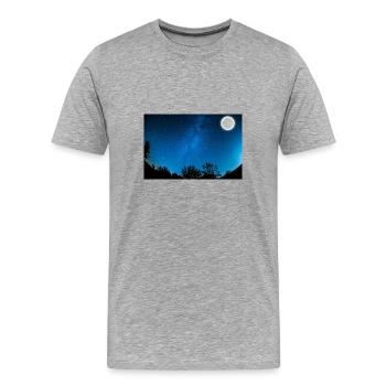 Sommer Nacht - Männer Premium Bio T-Shirt - Grau meliert - Vorne - Damien (186cm)