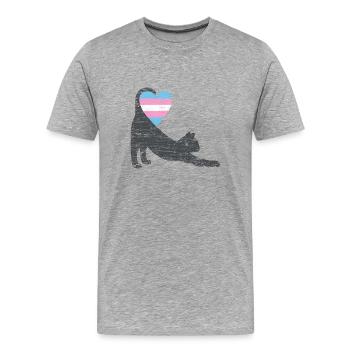 trans drapeau chat I - T-shirt bio Premium Homme - gris chiné - Devant - Damien (186cm)