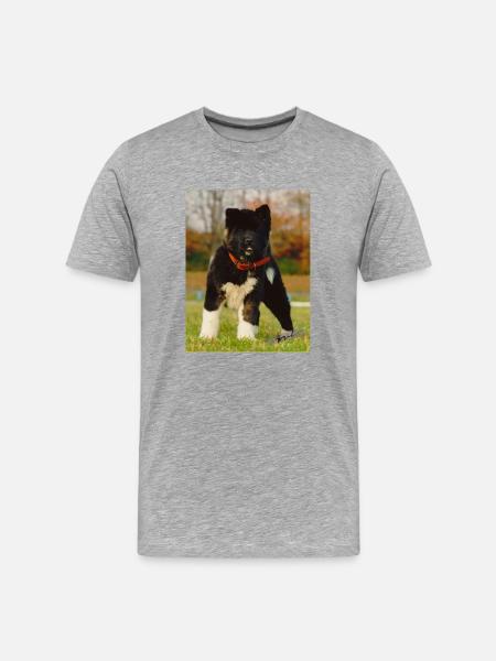 April Titel - Männer Premium Bio T-Shirt - Grau meliert