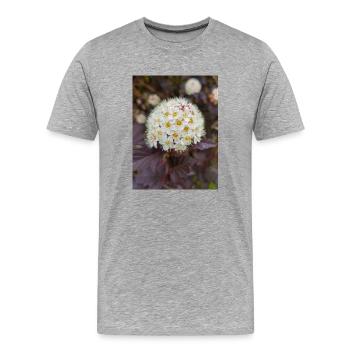 Blasenspiere à neuf écorces Physocarpus capitatus - T-shirt bio Premium Homme - gris chiné - Devant - Damien (186cm)