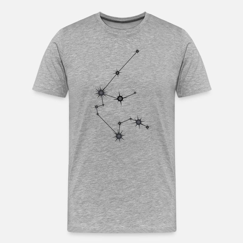 Wassermann Sternbild Sternzeichen Schwarz Grau - Männer Premium Bio T-Shirt - Grau meliert