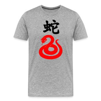 Chinesische Schrift mit roter Schlange - Männer Premium Bio T-Shirt - Grau meliert - Vorne - Damien (186cm)