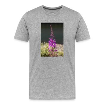 épilobe à feuilles étroites également herbe de saule également rose rose - T-shirt bio Premium Homme - gris chiné - Devant - Damien (186cm)