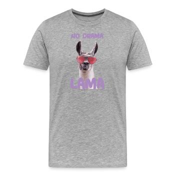 No Drama Lama Alpaka - Männer Premium Bio T-Shirt - Grau meliert - Vorne - Damien (186cm)