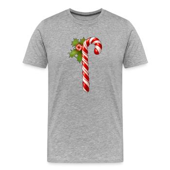 Zuckerstange - Männer Premium Bio T-Shirt - Grau meliert - Vorne - Damien (186cm)