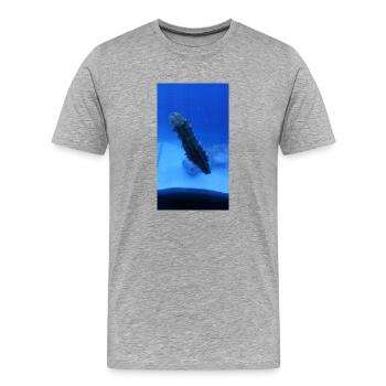 See Walze - Männer Premium Bio T-Shirt - Grau meliert - Vorne - Damien (186cm)
