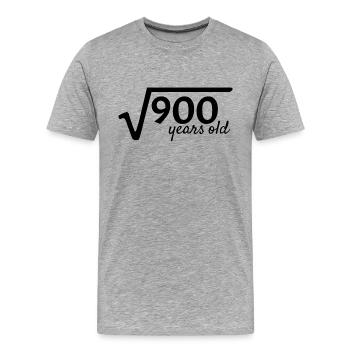 30 years old - Men's Premium Organic T-Shirt - heather grey - Front - Damien (186cm)