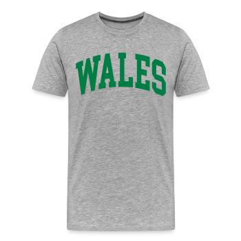 Wales - Men's Premium Organic T-Shirt - heather grey - Front - Damien (186cm)