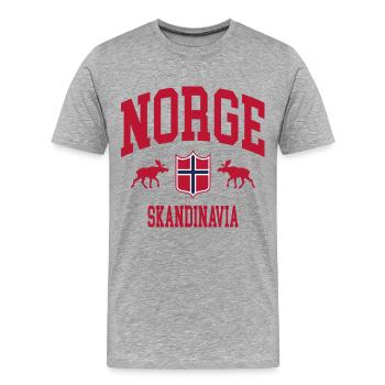 Norwegen - Männer Premium Bio T-Shirt - Grau meliert - Vorne - Damien (186cm)