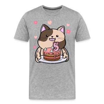 Mollige Katze Hält Eine Geburtstagstorte 5. - Männer Premium Bio T-Shirt - Grau meliert - Vorne - Damien (186cm)
