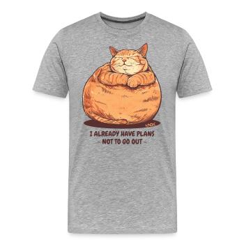 Ein sehr pummeliger, fetter Kater mit einem Plan - Männer Premium Bio T-Shirt - Grau meliert - Vorne - Damien (186cm)