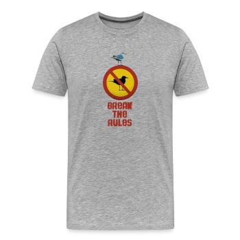 Die Regeln brechen - Männer Premium Bio T-Shirt - Grau meliert - Vorne - Damien (186cm)