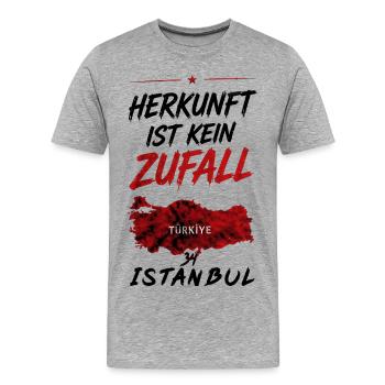 Herkunft ist kein Zufall - 34 Istanbul - Männer Premium Bio T-Shirt - Grau meliert - Vorne - Damien (186cm)