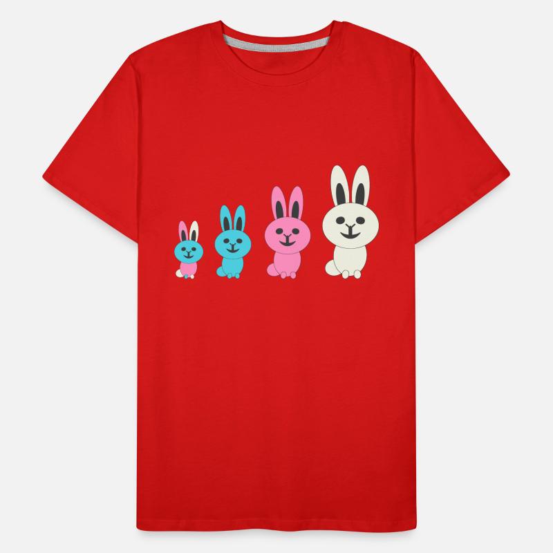 Evolution douce T-shirt bio Premium Homme
