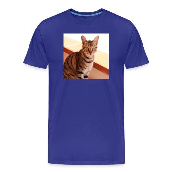Katze Kätzchen Poster quadratisch Katzenposter - Männer Premium Bio T-Shirt - Königsblau - Vorne - Damien (186cm)