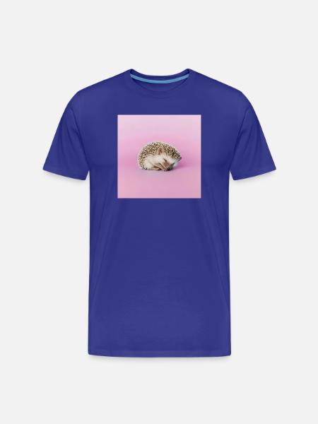 Schlafender Igel auf blassrosa Hintergrund - Männer Premium Bio T-Shirt - Königsblau