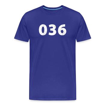 036 Almere Zeewolde - Männer Premium Bio T-Shirt - Königsblau - Vorne - Damien (186cm)