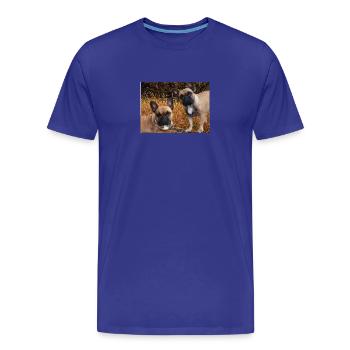 französische Bulldoggen auf der Wiese - Männer Premium Bio T-Shirt - Königsblau - Vorne - Damien (186cm)