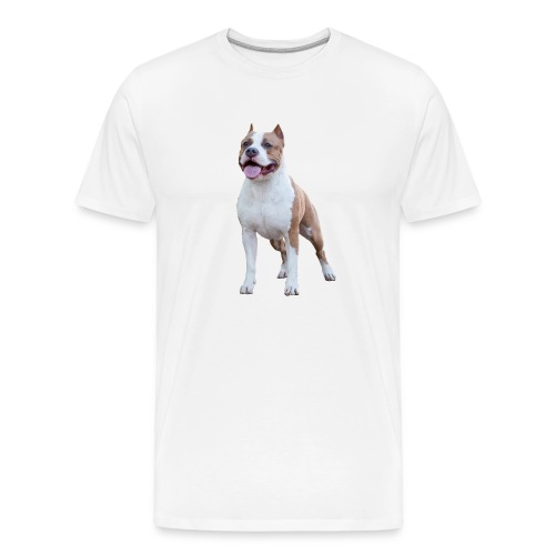 American Staffordshire Terrier - Männer Premium Bio T-Shirt