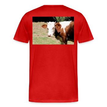 Affiche de vache - T-shirt bio Premium Homme - rouge - Dos - Damien (186cm)
