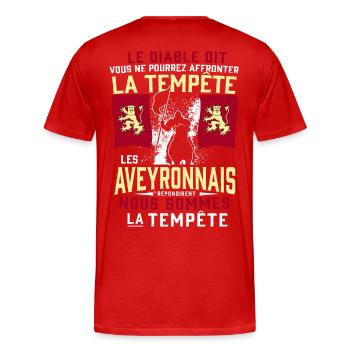 Tempête Aveyronnais - T-shirt bio Premium Homme - rouge - Dos - Damien (186cm)