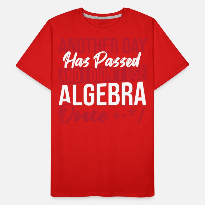Algebra Lover Graph Math Nerd I Didn't Use Algebra Männer Premium Bio T-Shirt