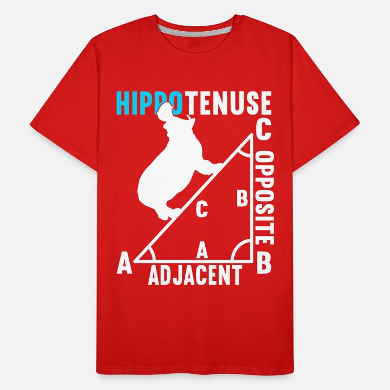 Math Math Teacher Men's Premium Organic T-Shirt