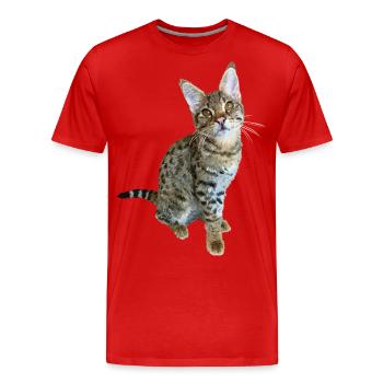 Tabby - Men's Premium Organic T-Shirt - red - Front - Damien (186cm)